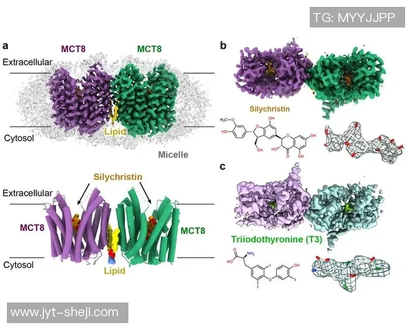 数据分析与团队协作结合的成功之道：探秘GenG战队的运营策略
